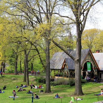 Central Park new york, Latest News new york, we love new york