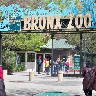 Bronx Zoo new york, Latest News new york, we love new york