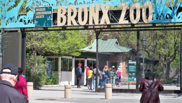 Bronx Zoo new york, travel to new york